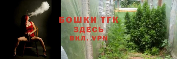 трава Арсеньев