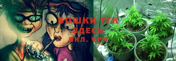 трава Арсеньев