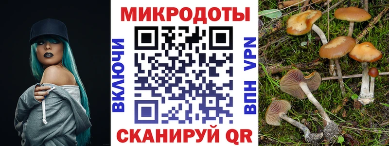 купить наркотики цена Оленегорск Галлюциногенные грибы Magic Shrooms